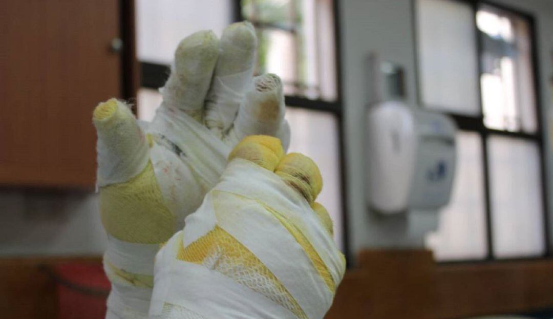 Imagen de referencia