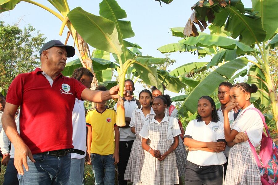 Institución Etnoeducativa Técnica Agropecuaria de Desarrollo Rural