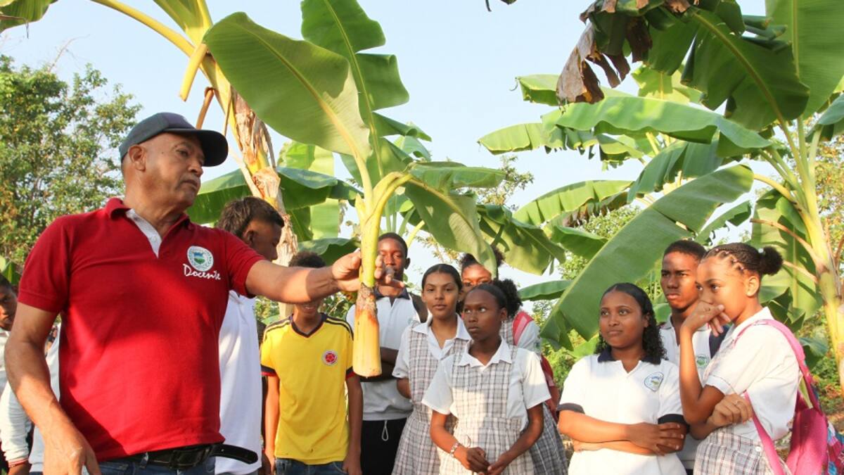 Estudiantes de María La Baja se capacitan en ‘Buenas Prácticas Agrícolas’