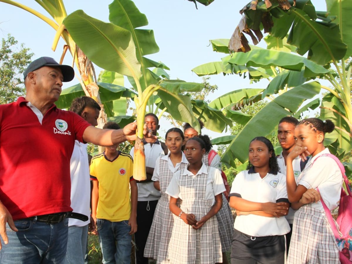 Estudiantes de María La Baja se capacitan en ‘Buenas Prácticas Agrícolas’