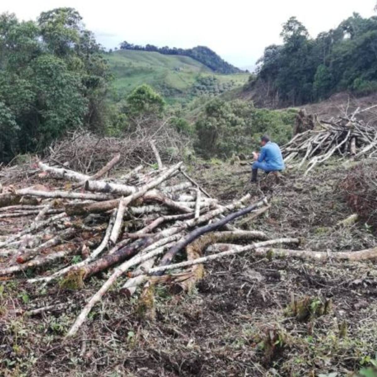 En Guatica capturan dos hombres que pretendían talar un bosque