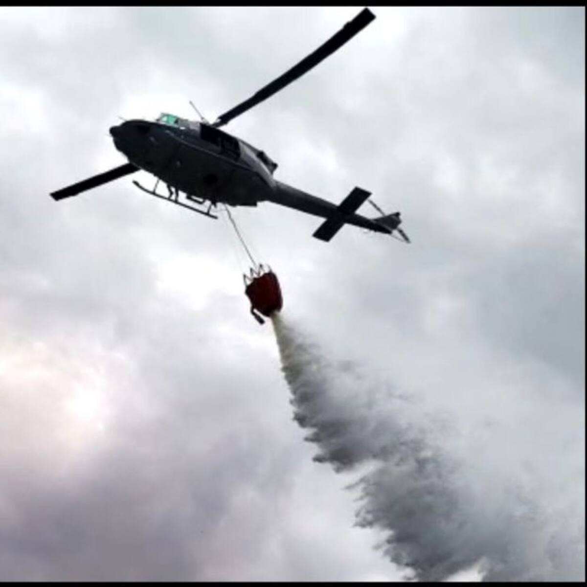 Controlan incendio forestal en el Tolima