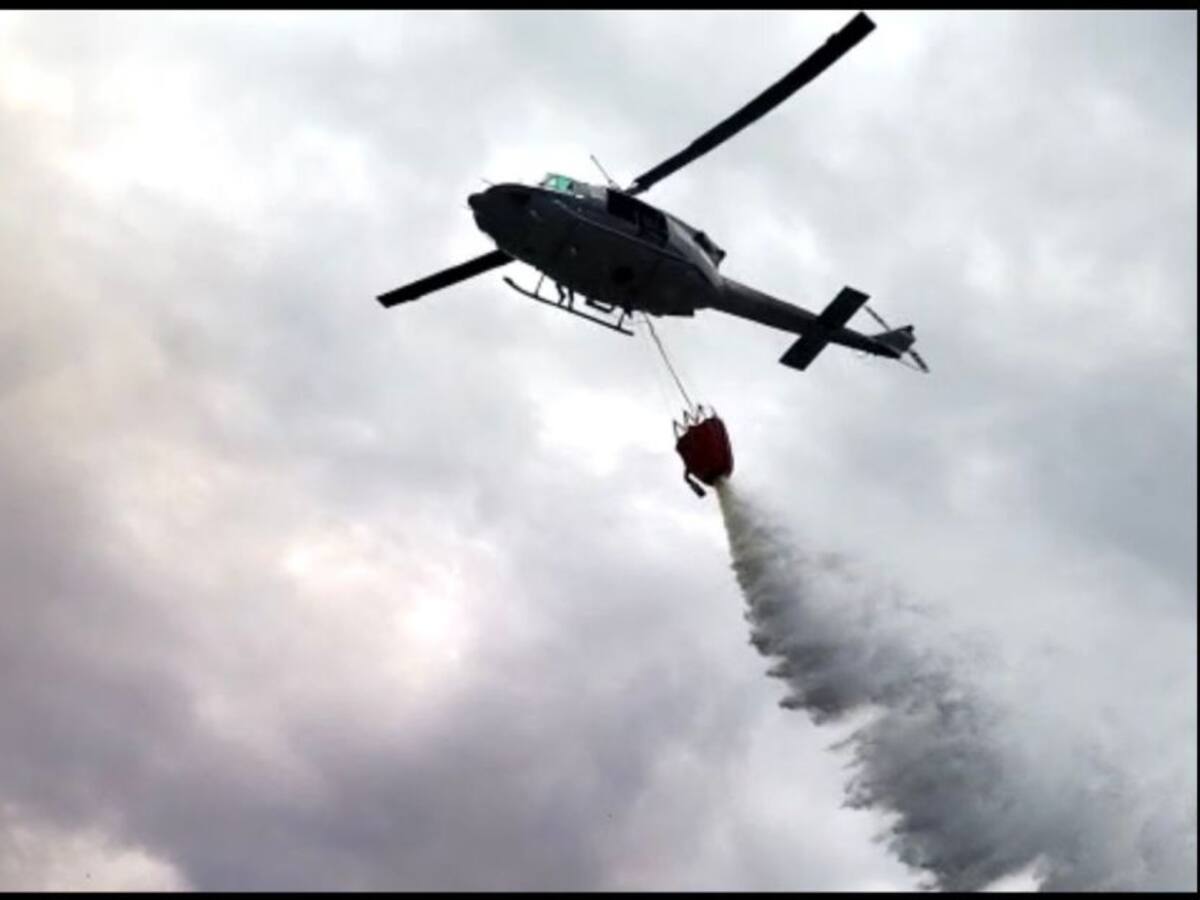 Controlan incendio forestal en el Tolima