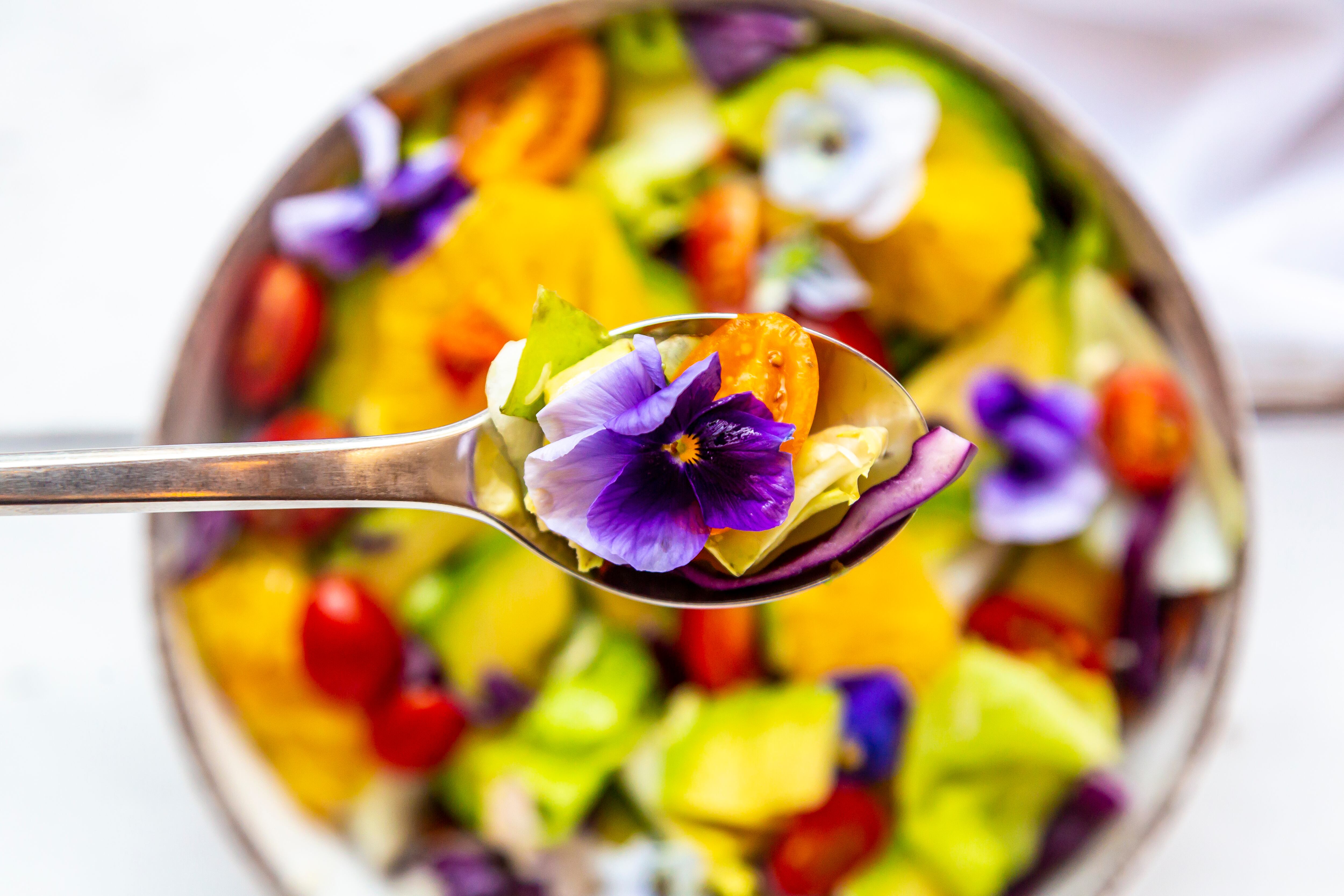 Variedad de flores comestibles en un plato y cuchara (Foto vía Getty Images)