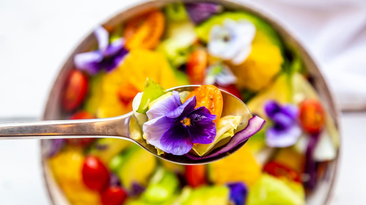 ¿Comería flores? Estas son las ideales para acompañar cada tipo de comida, según experto
