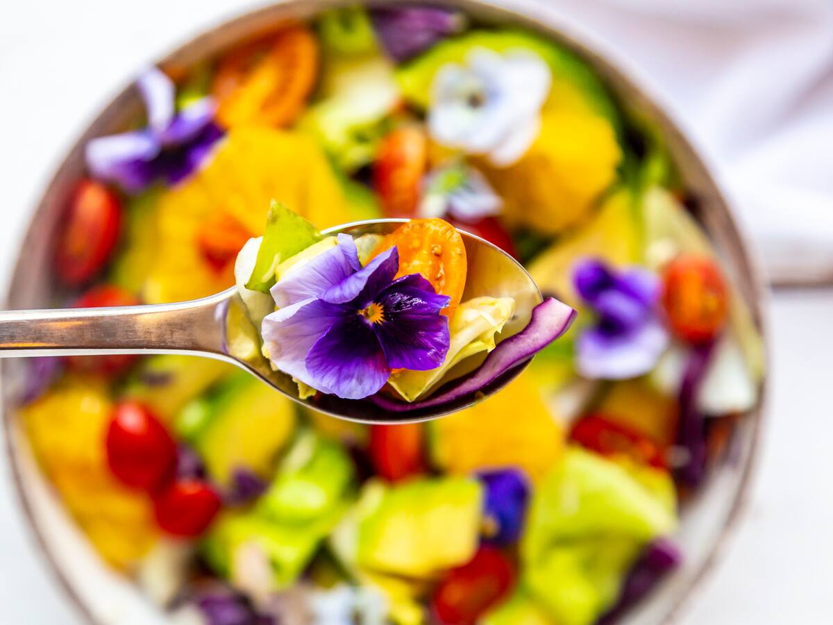¿Comería flores? Estas son las ideales para acompañar cada tipo de comida, según experto