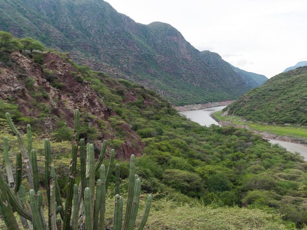 “Un país sin quemas” por la protección de nuestro territorio