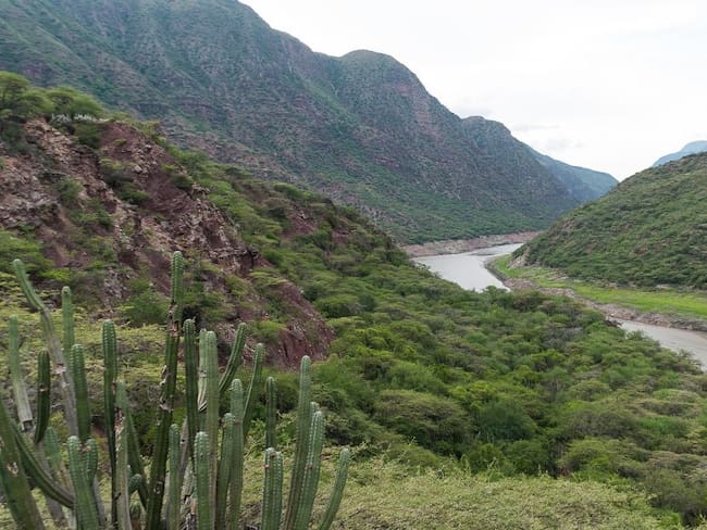 “Un país sin quemas” por la protección de nuestro territorio