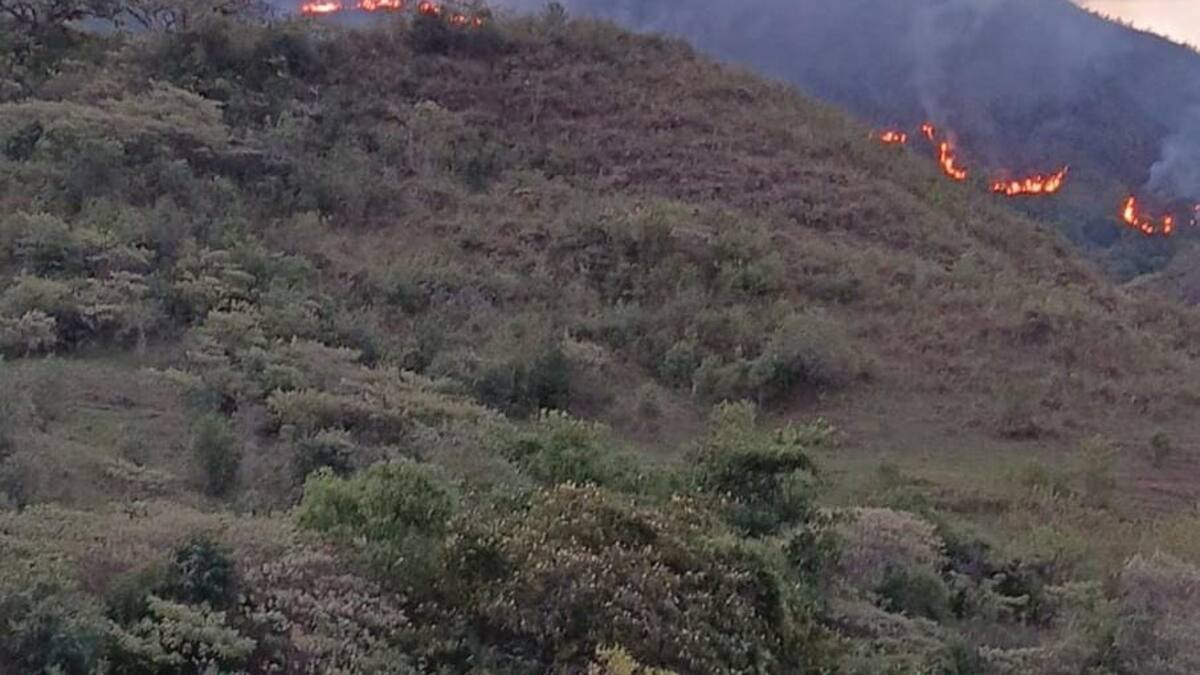 Incendio forestal en La Plata-Huila, consume más de 40 hectáreas de Bosque seco