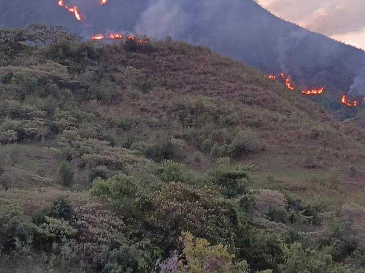 Incendio forestal en La Plata-Huila, consume más de 40 hectáreas de Bosque seco