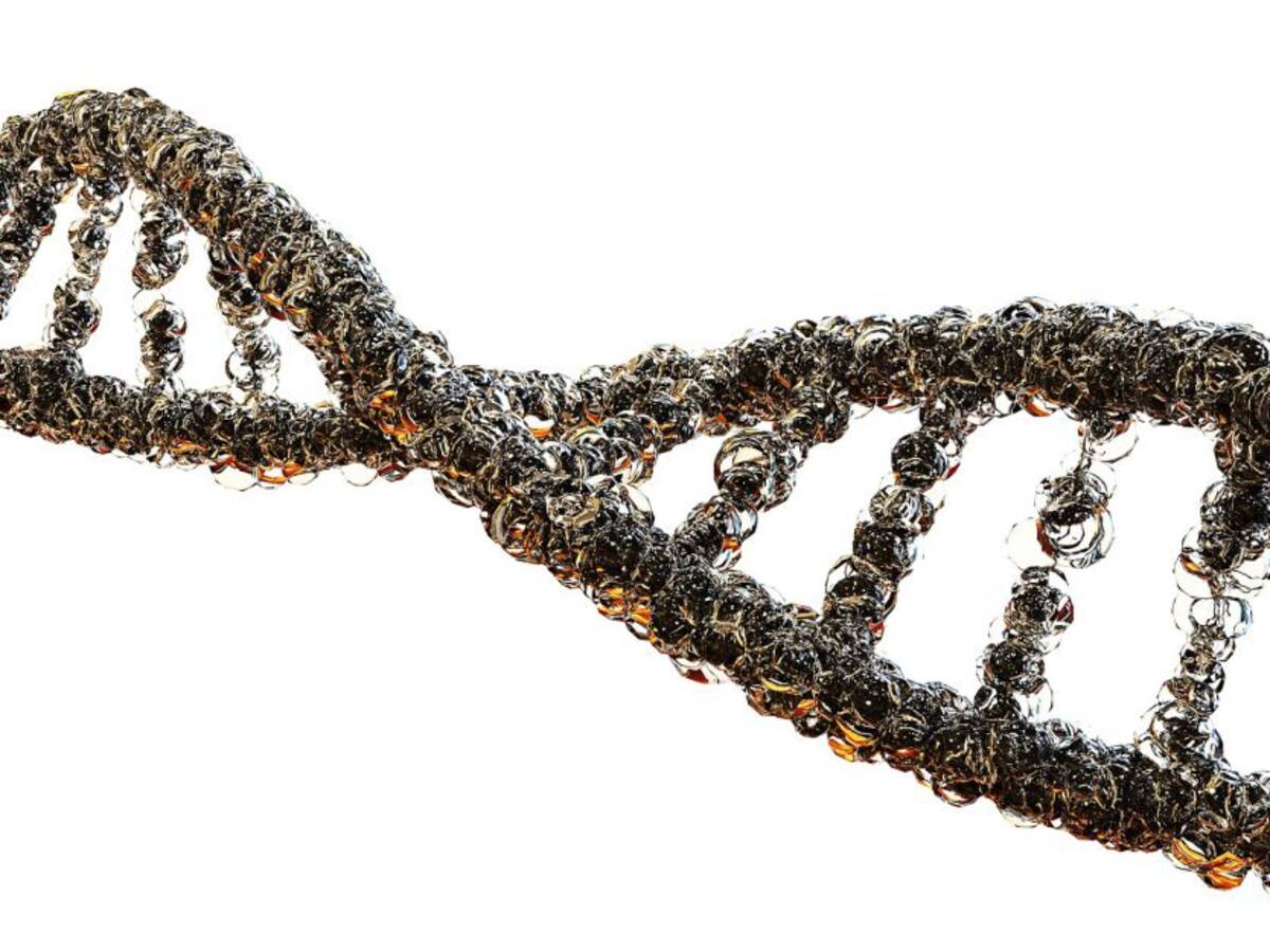 La oxidorreducción y cómo mantener su equilibrio