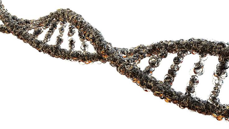 La oxidorreducción y cómo mantener su equilibrio.