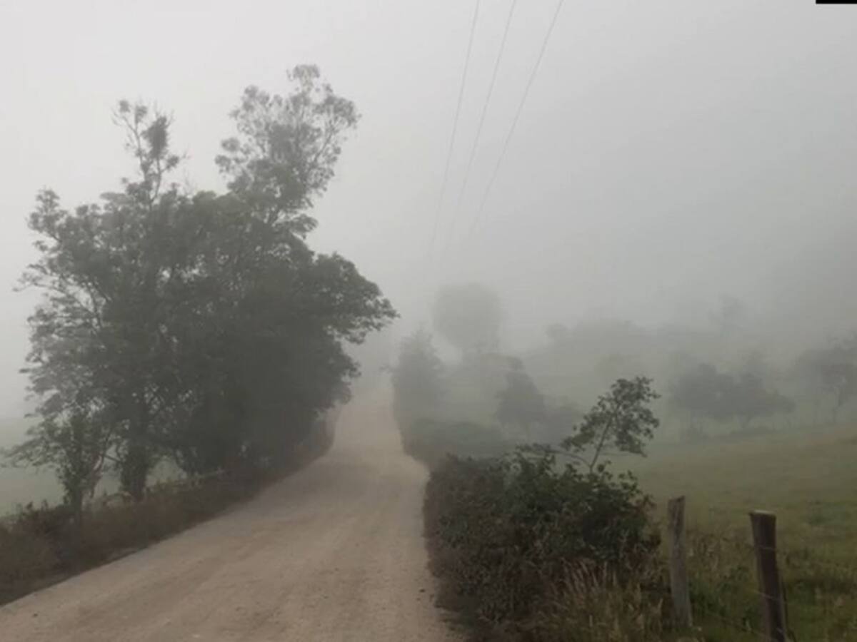 Insisten en proyecto “seguro de cosecha” para enfrentar las heladas