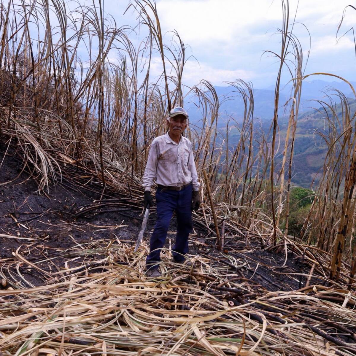 Productores reportan pérdidas superiores al 50% en cultivos por incendio en Villeta