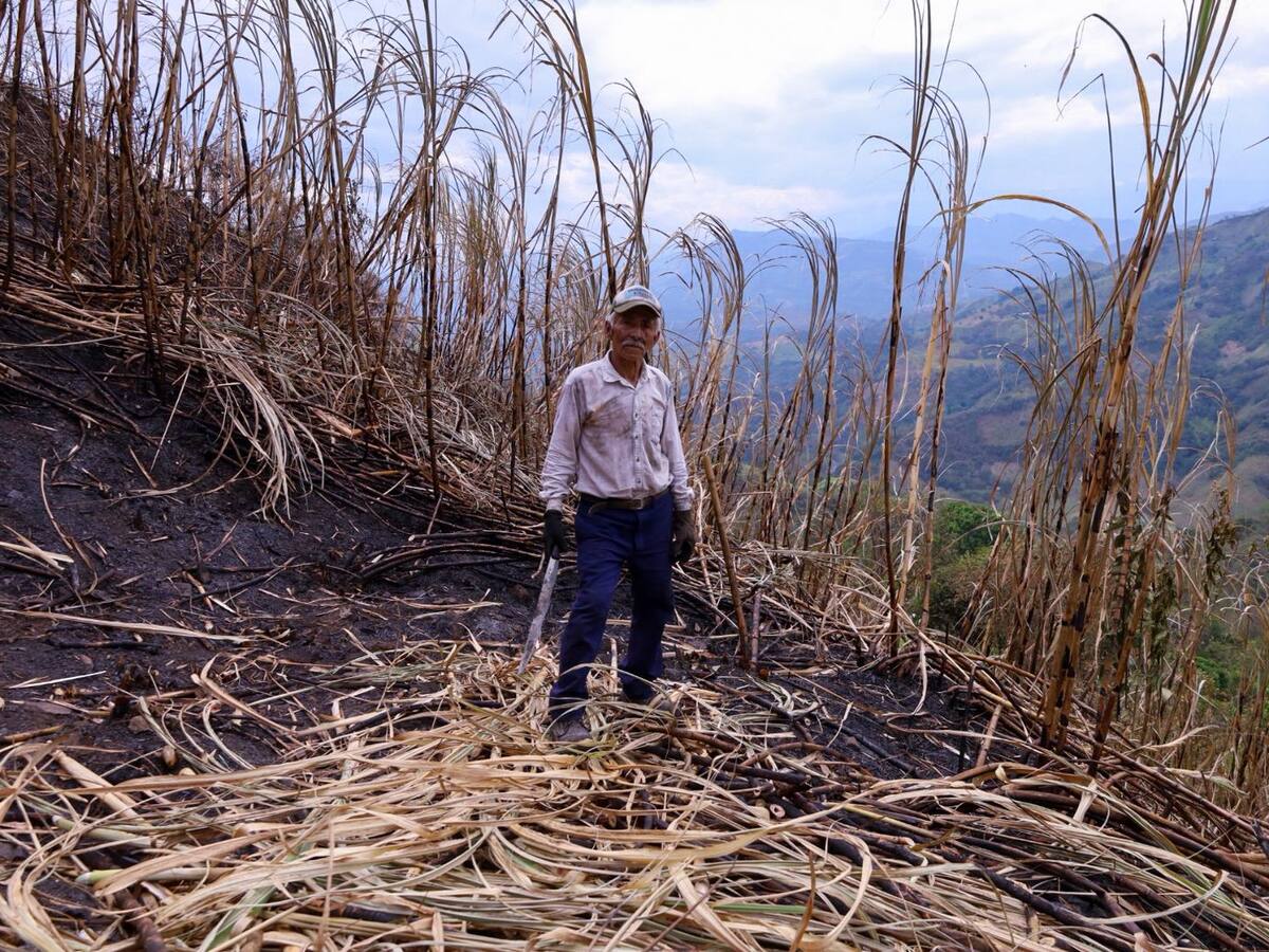 Productores reportan pérdidas superiores al 50% en cultivos por incendio en Villeta