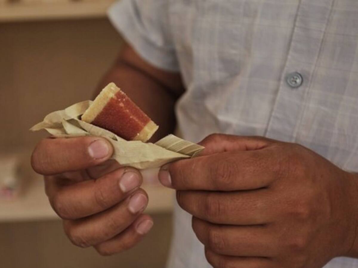 Pan, avena y bocadillo estaría entregando el PAE en Santa Marta
