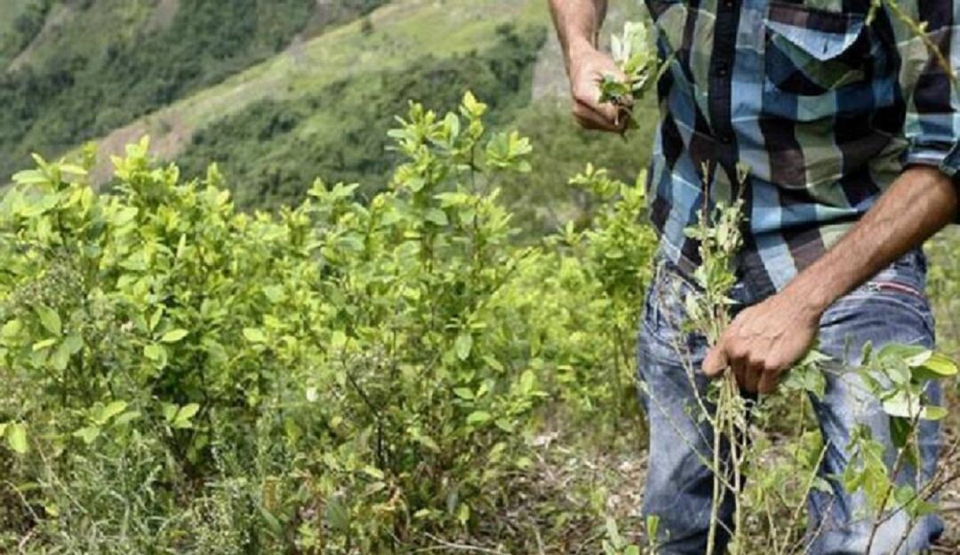 Amenaza de paro en el Catatumbo