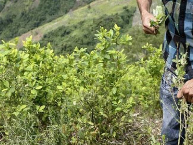 Amenaza de paro en el Catatumbo