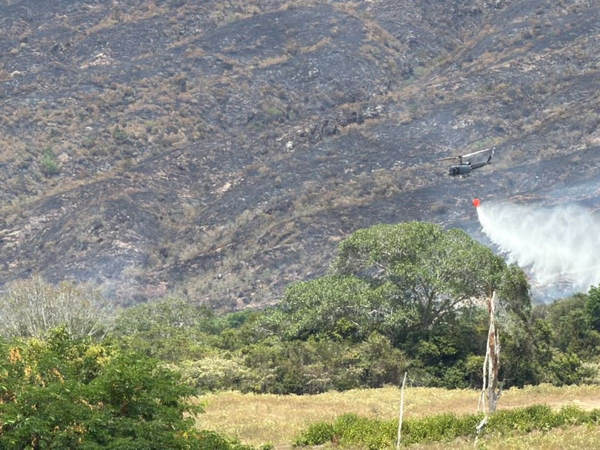 Con el apoyo de la Fuerza Aeroespacial buscan apagar incendio forestal de gran magnitud en Ibagué