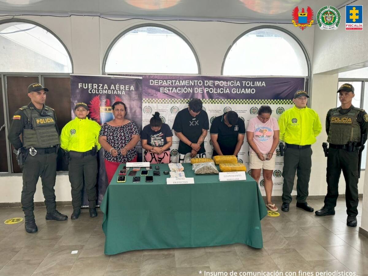 Cayeron siete presuntos delincuentes dedicados al hurto de fincas en el Tolima