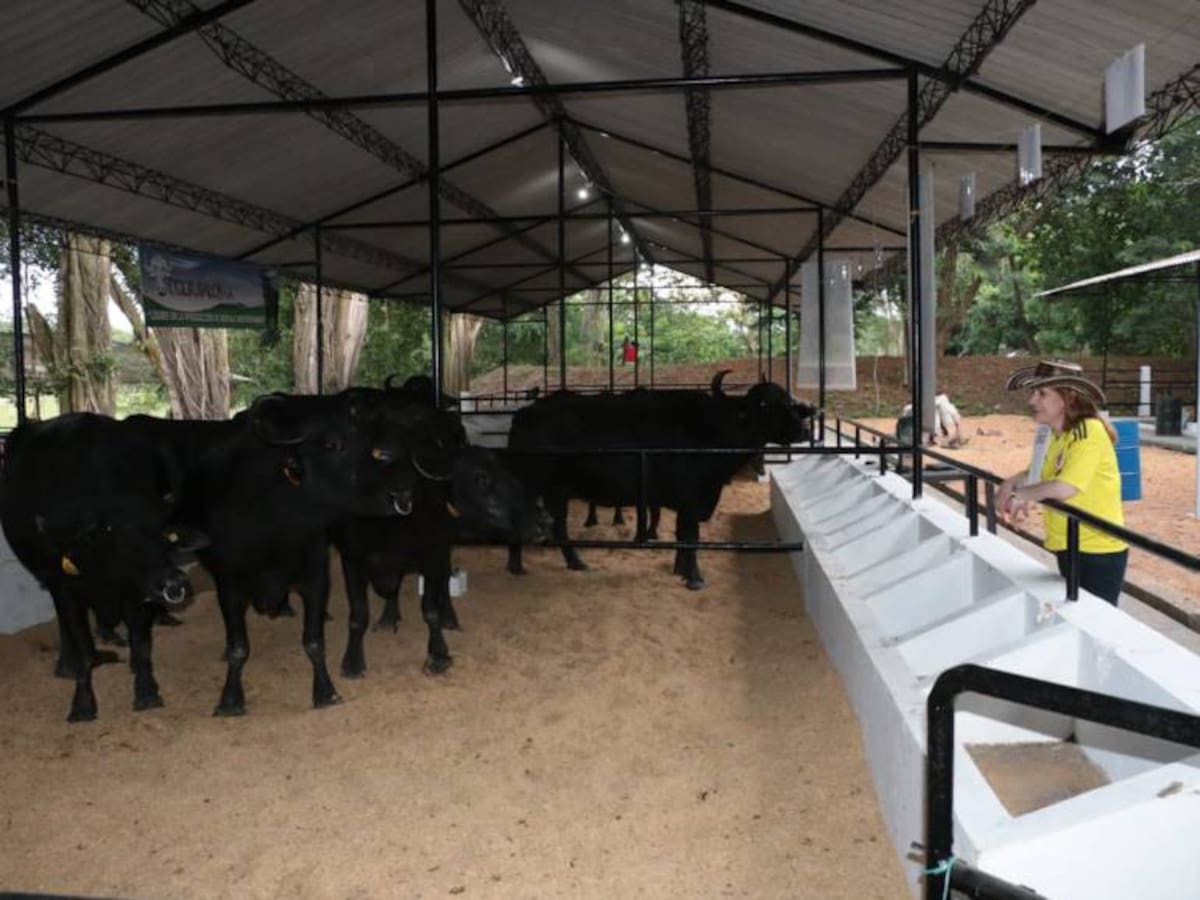 La Feria de la Ganadera abrió sus puertas al público