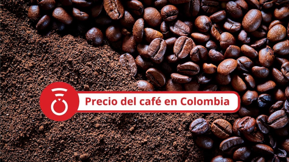 Precio del café HOY 24 de septiembre: Continúa la recuperación del valor del grano