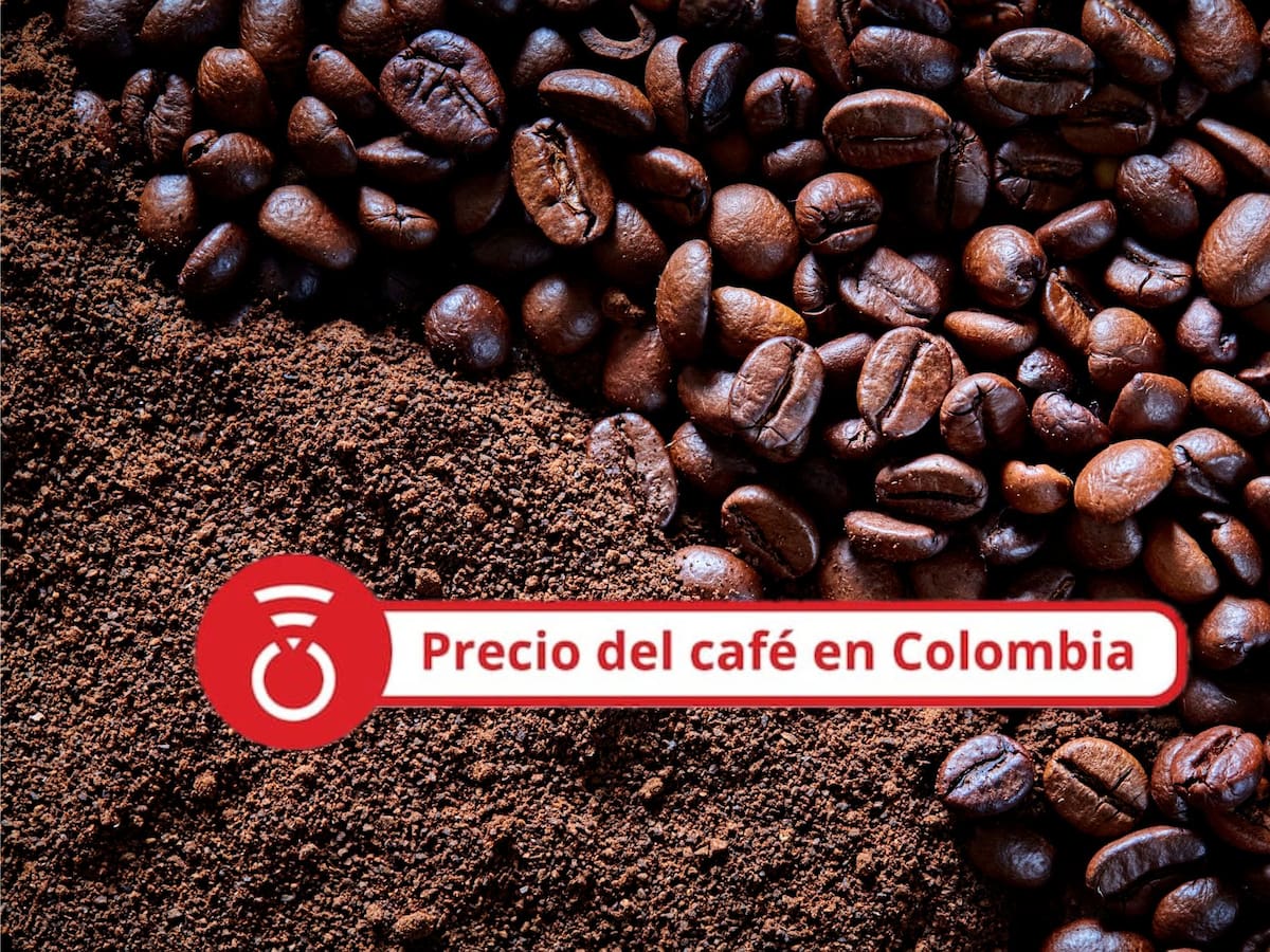 Precio del café HOY 24 de septiembre: Continúa la recuperación del valor del grano
