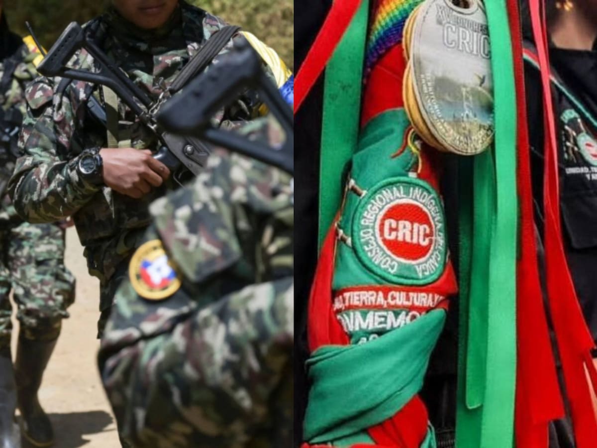 Grupo Timanco: se revela su existencia y posible infiltración FARC en indígenas del Cauca