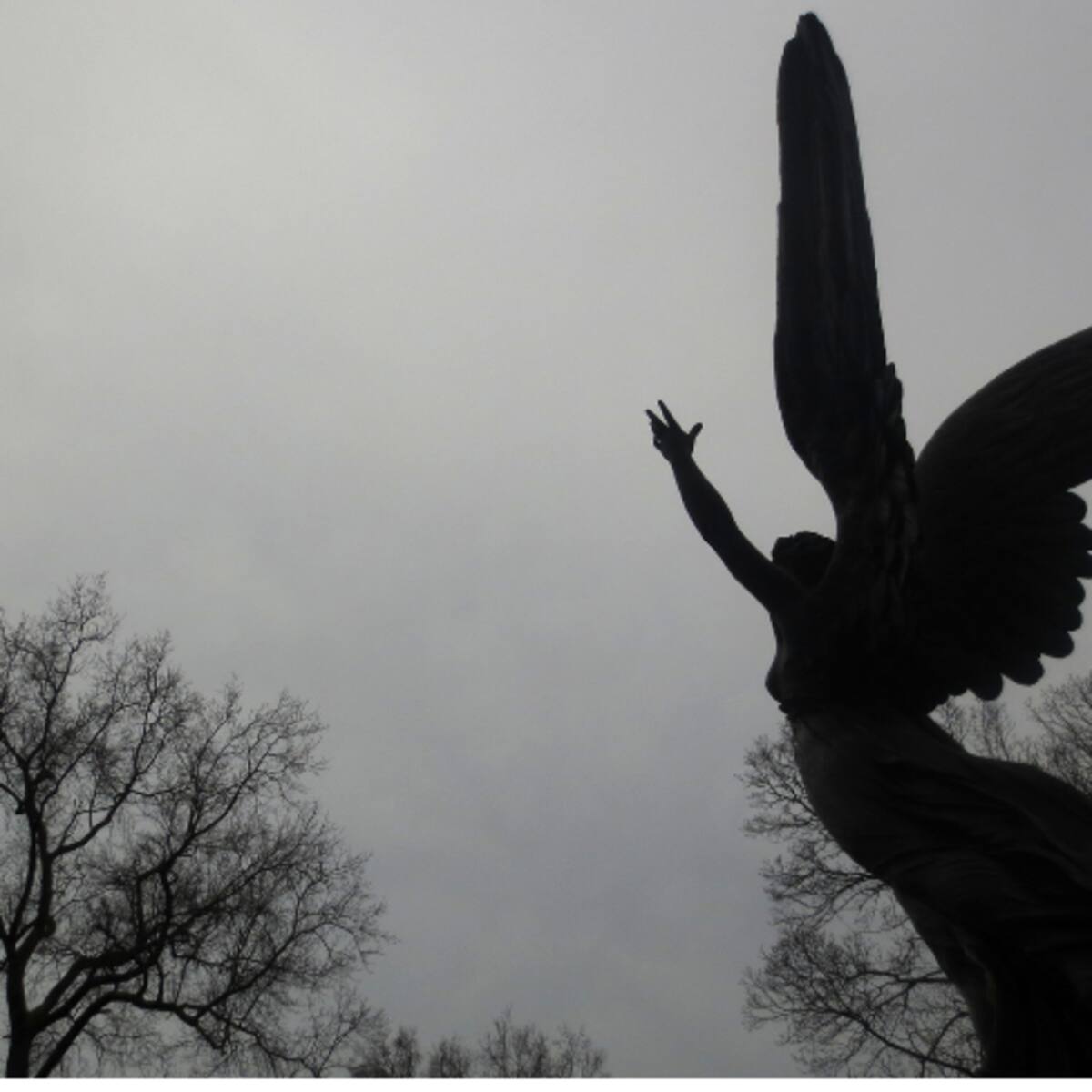 Según la IA, este es el mensaje de los ángeles para cada signo del 22 al 26 de julio