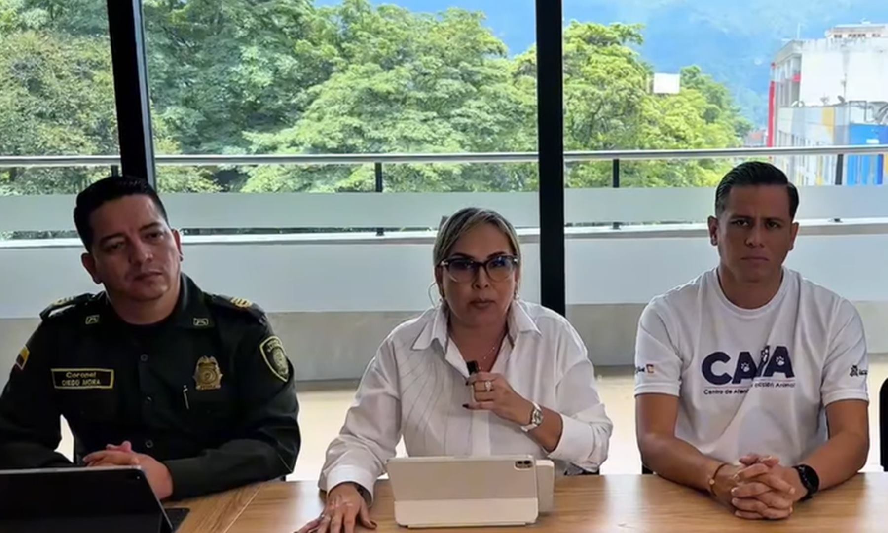 Consejo extraordinario de seguridad de Ibagué