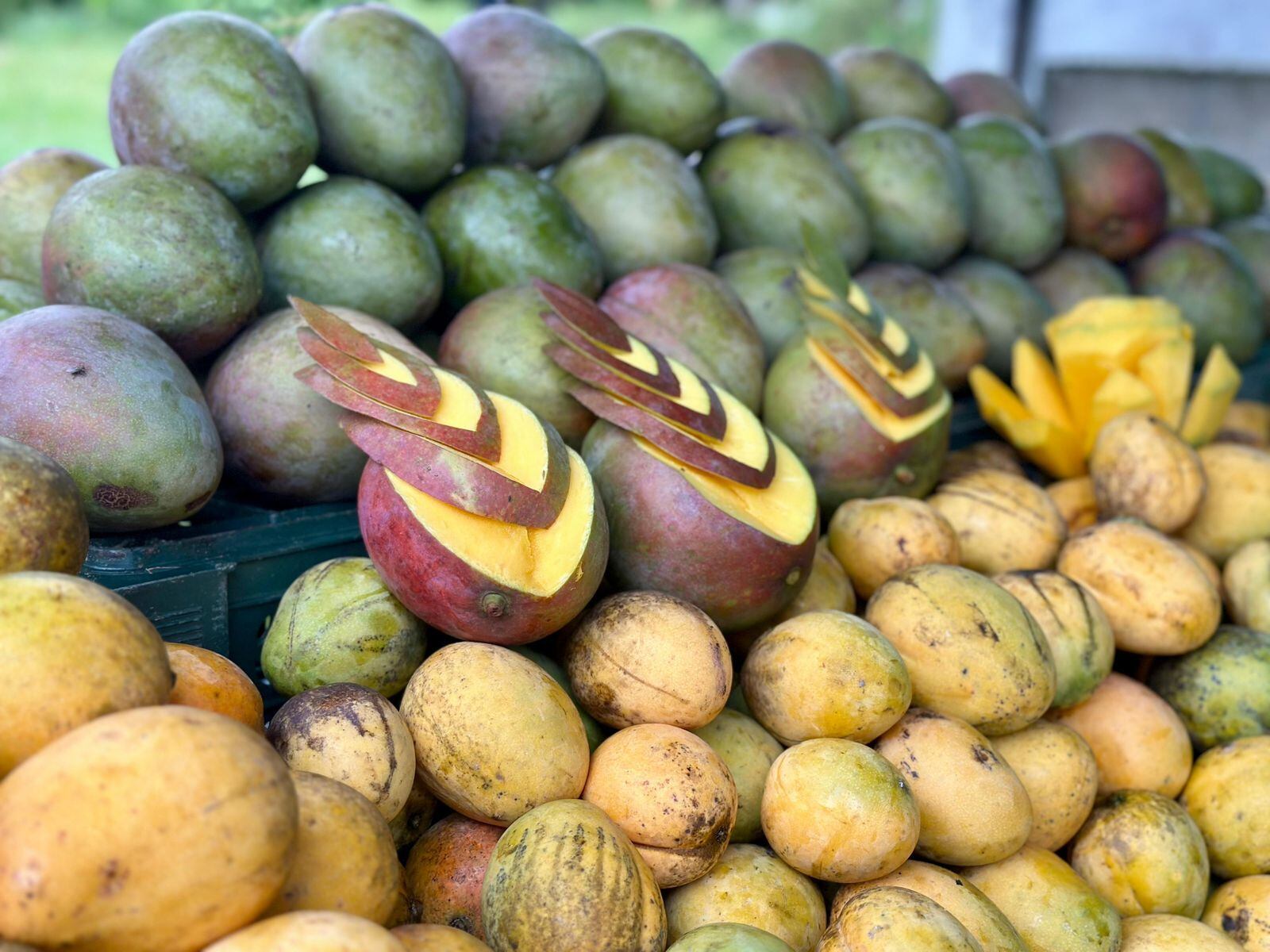 Alcaldía de Santa Rosa de Lima