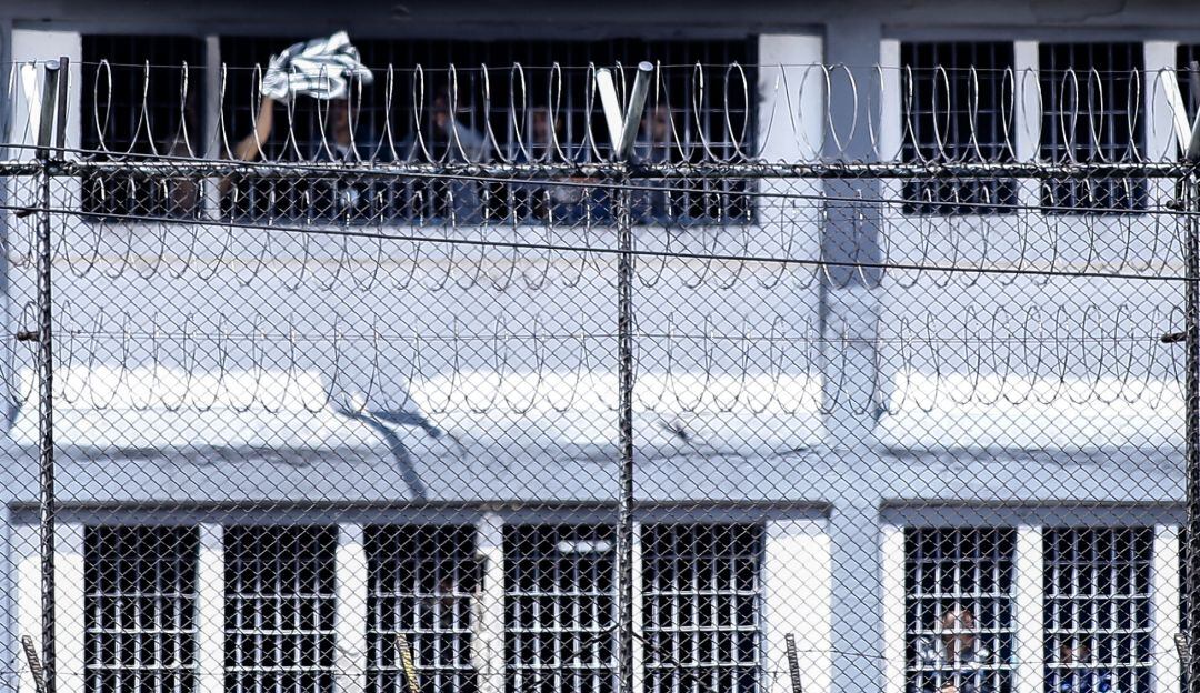 Imagen de referencia