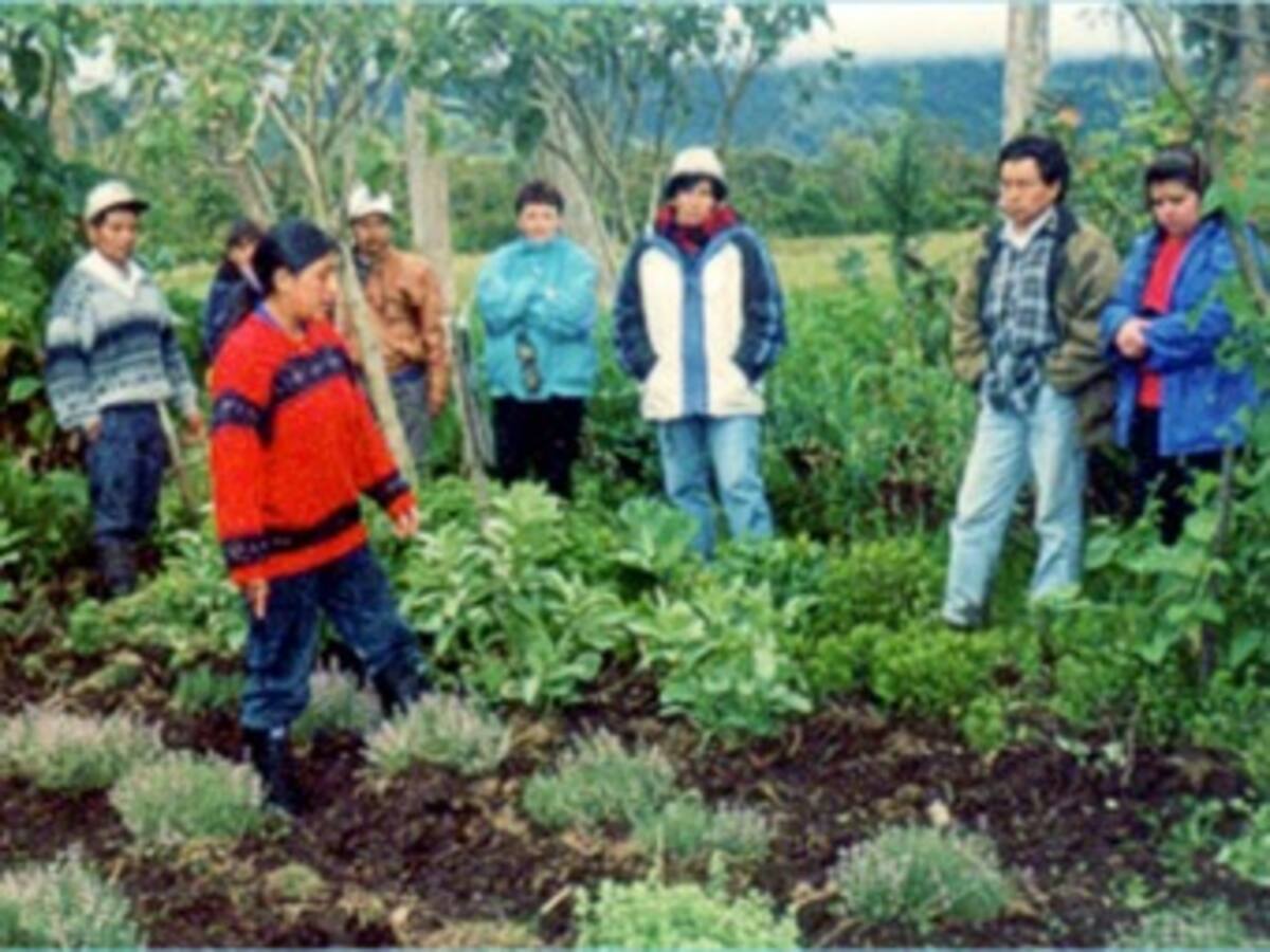 Gobierno redujo en 44% presupuesto para el sector agrario en 2014