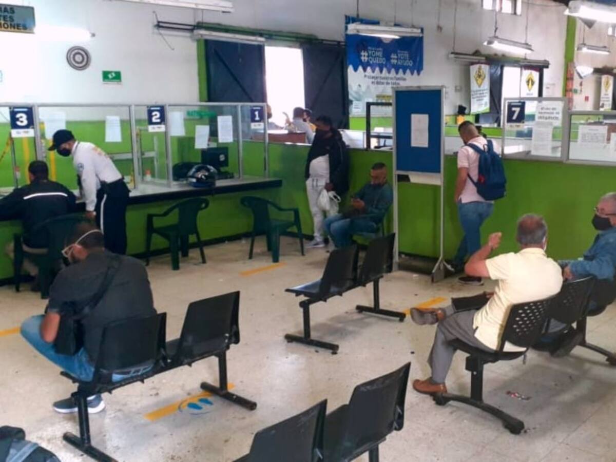 ¿Qué está pasando con los trámites para la licencia de conducción en Armenia?