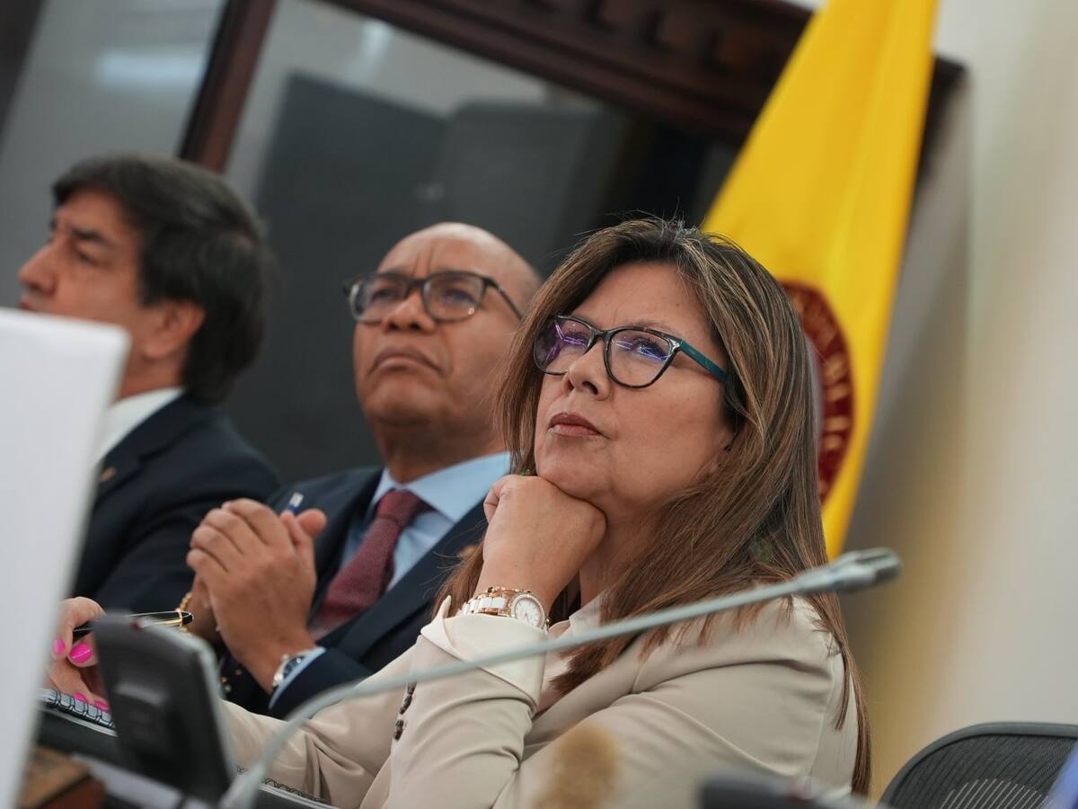 Comisión de Acusaciones investigará a fiscal por suspender órdenes de captura a disidentes