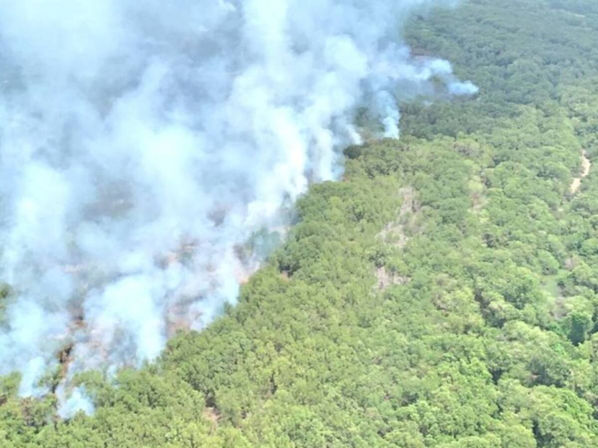 Sin apoyo aéreo continúa la lucha contra las llamas en la Isla Salamanca