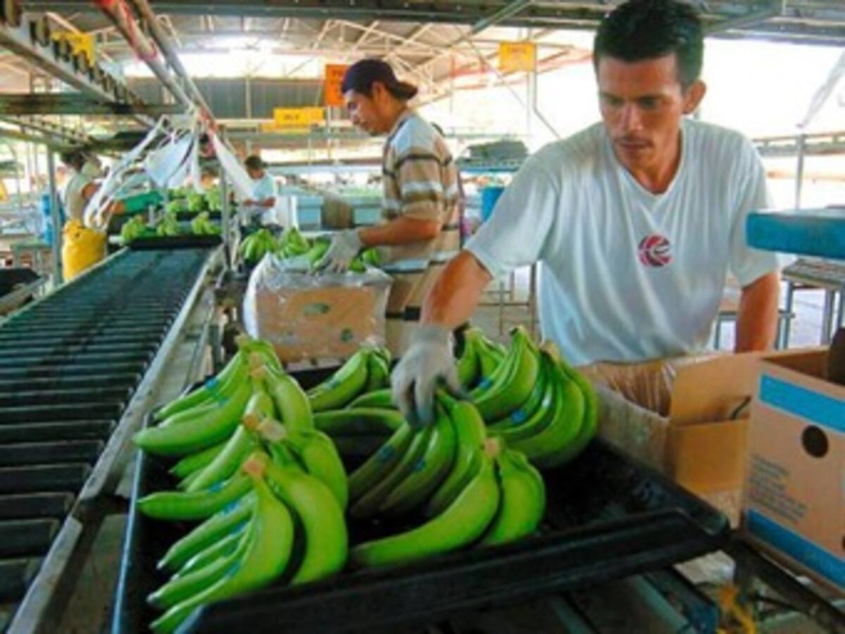 Punto final de la "guerra del banano" sucriben América Latina y la Unión Europea