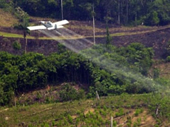 Reactivan fumigación aérea de cultivos ilícitos en el norte del Cauca