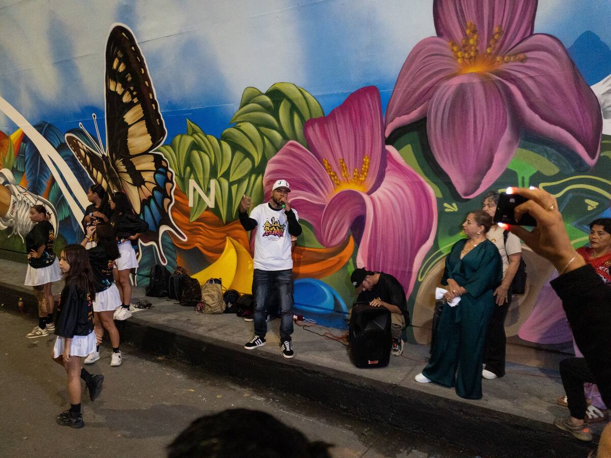 Murales en los puentes de la Av. Belalcázar hacen homenaje al Paisaje Cultural Cafetero
