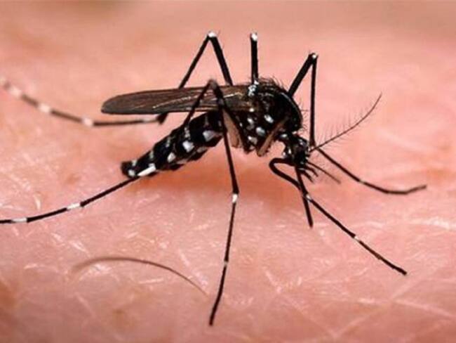 Malaria importada obliga a activar cerco sanitario