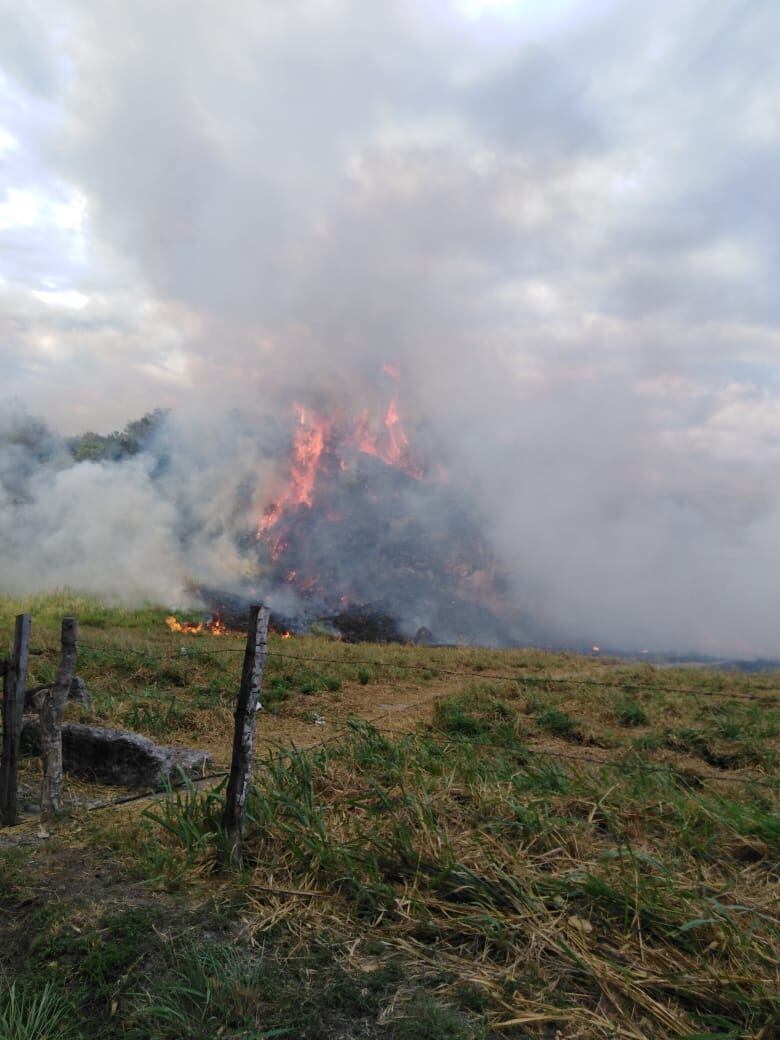 Incendios de capa vegetal en Caldas