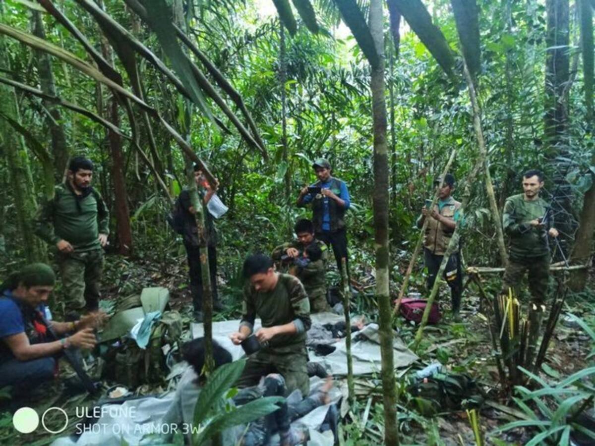 ¿Cómo sobrevivieron los niños extraviados en el Guaviare? Aerocivil revela detalles
