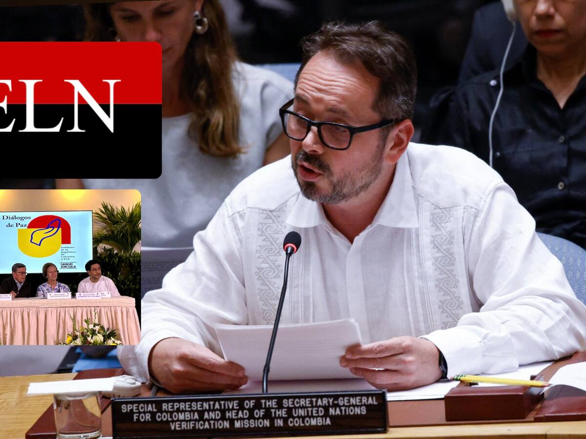 Jefe de la ONU en Colombia: Sería beneficioso extender y ampliar cese al fuego con el ELN