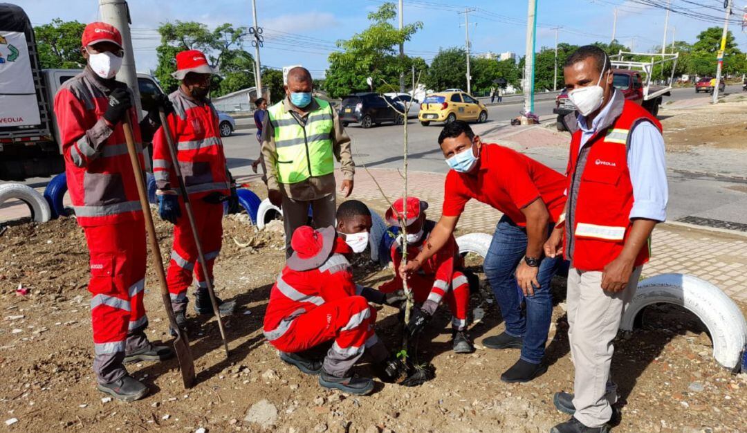La compañía erradicó un foco de contaminación para las comunidades contiguas y los transeúntes de esta avenida principal