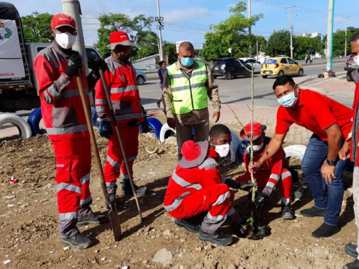 Veolia Cartagena recuperó punto critico en la Transversal 54
