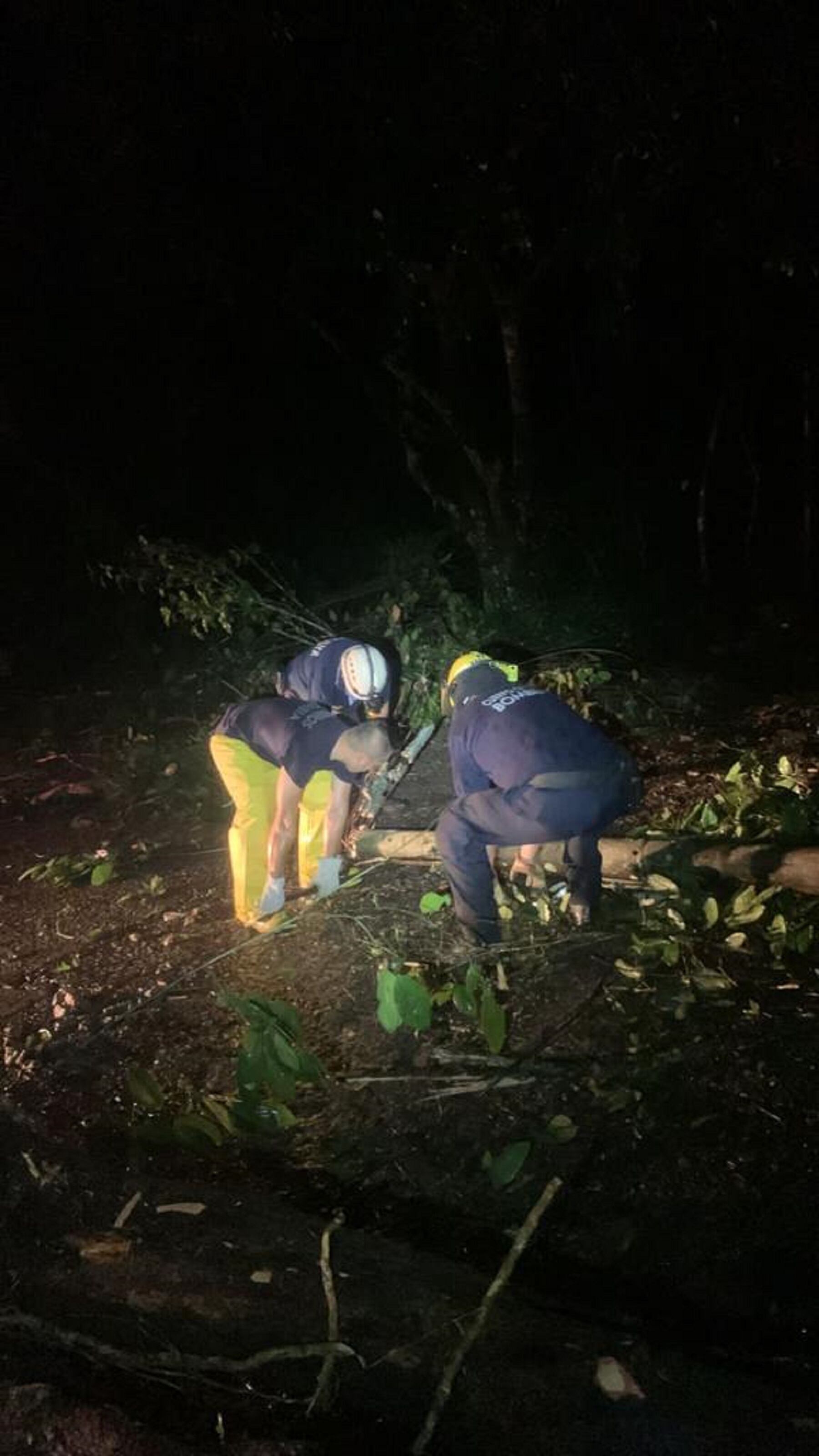 Emergencias en varias zonas de Ibagué por intensas lluvias