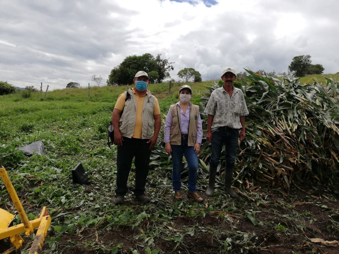 Se busca impactar 1.000 productores pertenecientes a 20 asociaciones.