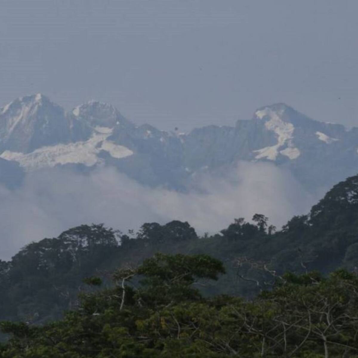 ¡Golpe a 'Los Pachenca'! cae el sucesor de alias '80' en la Sierra Nevada