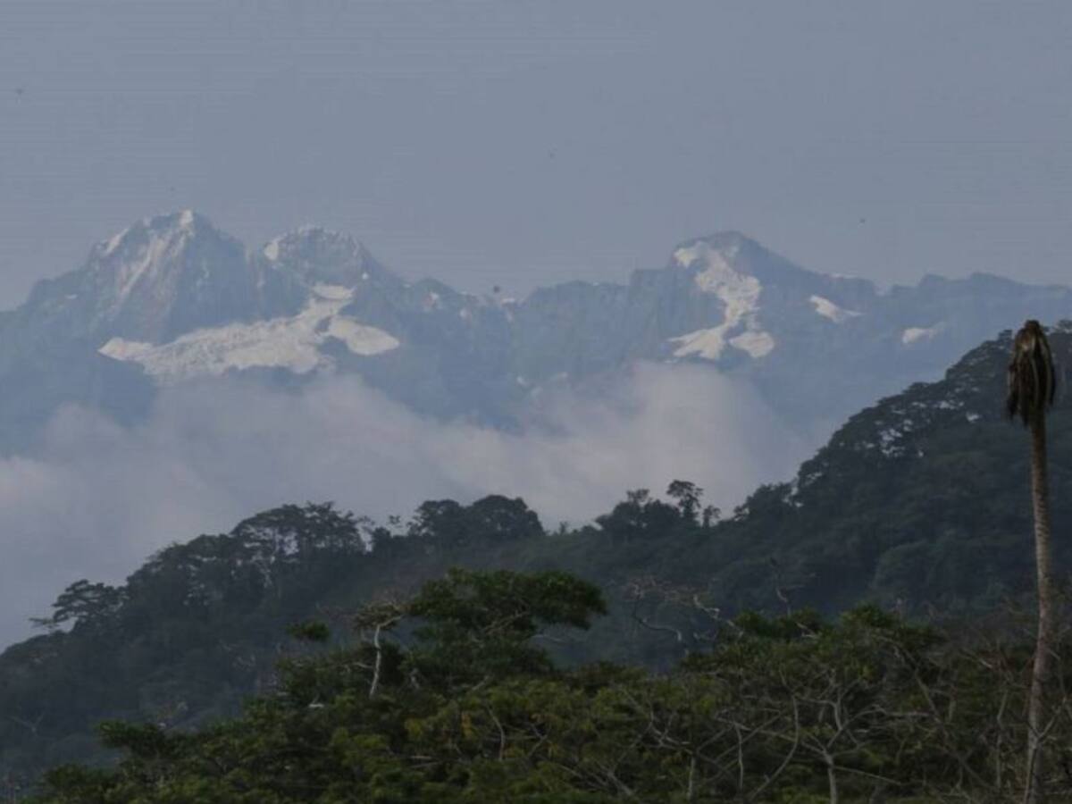 ¡Golpe a 'Los Pachenca'! cae el sucesor de alias '80' en la Sierra Nevada