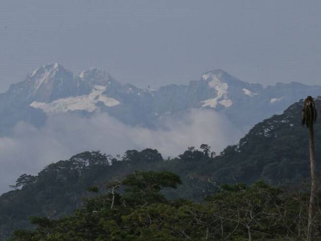 ¡Golpe a 'Los Pachenca'! cae el sucesor de alias '80' en la Sierra Nevada